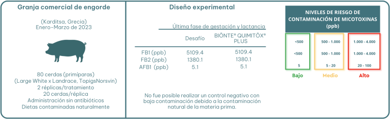 Figura 1. Diseño experimental de las dos pruebas.